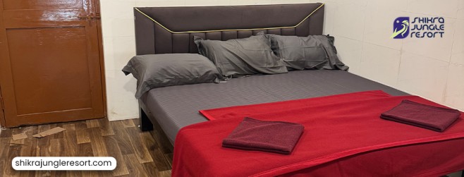 Experience Nature: The Best Resorts in Dandeli for Adventure and Relaxation