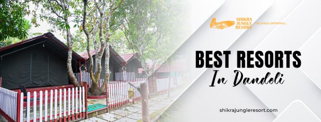 A Complete Guide to the Best Resorts in Dandeli