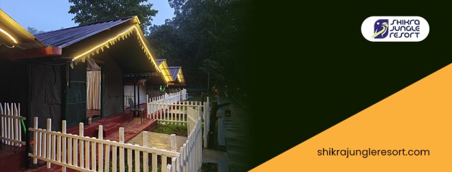 How Dandeli Resorts Packages Turn a Simple Trip Into an Unforgettable Nature Escape?