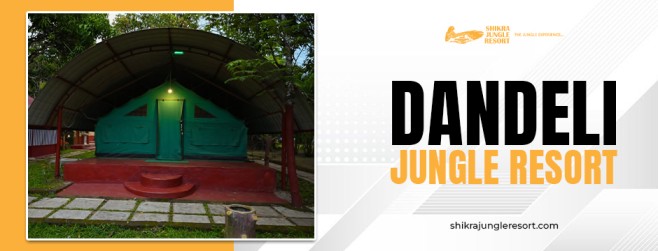 Top Reasons Why Dandeli Jungle Resort Should Be on Your Travel Bucket List?