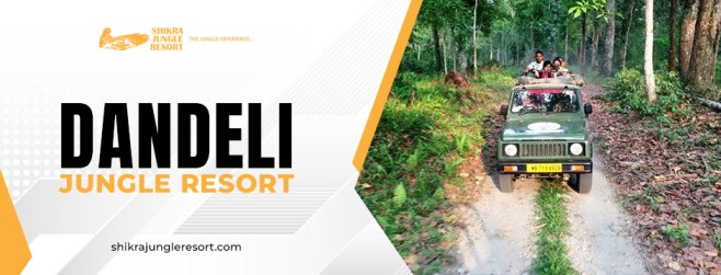 How Dandeli Jungle Resort Brings You Closer to Nature?
