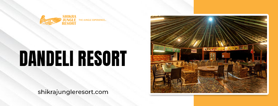 Unplug and Reconnect: Why a Dandeli Resort is Your Digital Detox Haven?