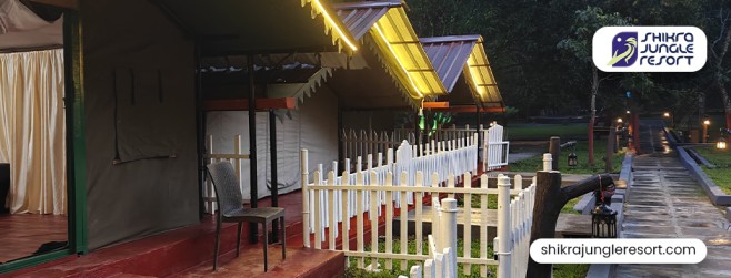 Budget-Friendly Dandeli Resorts Packages Without Compromising Comfort