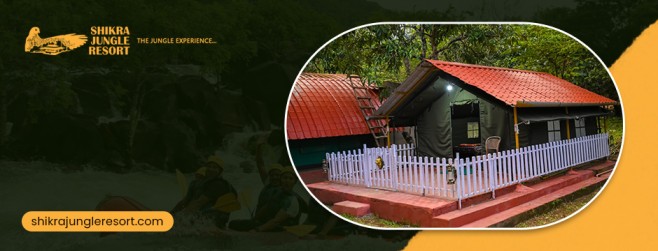 Dandeli resorts