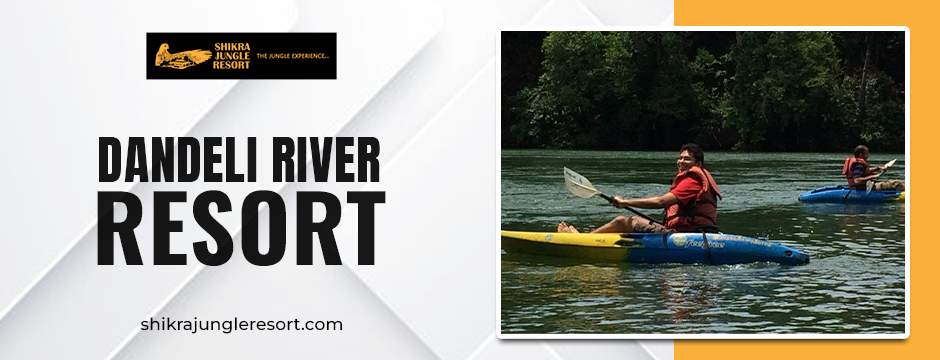 Monsoon Magic at Dandeli River Resort: Why Rain Makes It Even Better