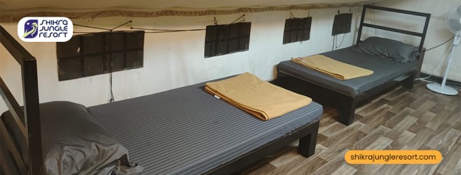 Travel Tips for Staying at Resorts in Dandeli for Family Adventures