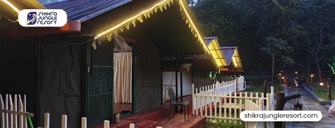 Explore Which is the Best Resort in Dandeli for Adventure Activities and Jungle Safaris