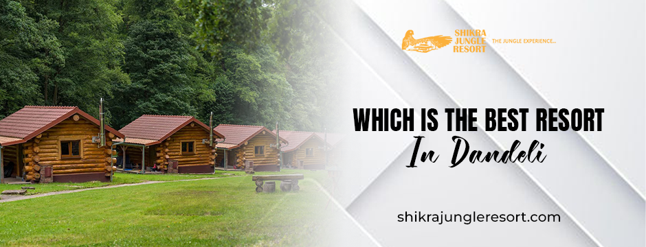 Still Wondering Which Is the Best Resort in Dandeli? Here’s Your Answer