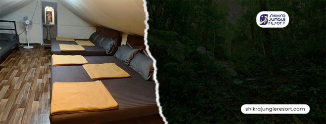 Unplug and Unwind at Dandeli Jungle Resorts: The Ultimate Nature Retreat